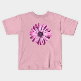 Spectacular African Daisy Isolated Kids T-Shirt